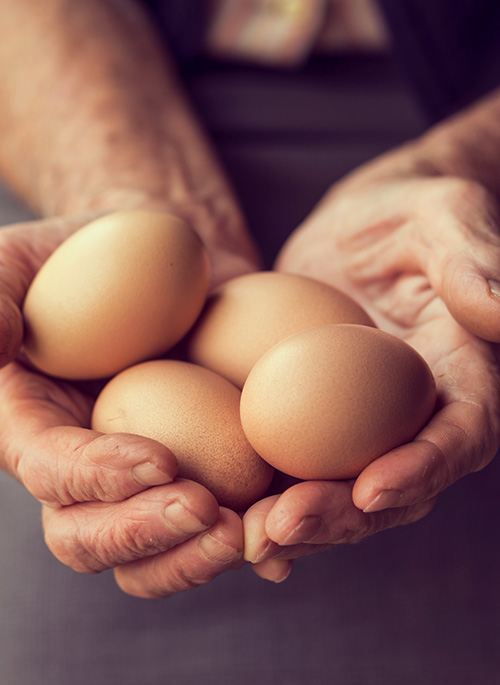 Des engagmeents pour nos produits